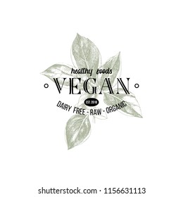 Vegan logo design over hand drawn basil branch. Vector illustration in vintage style