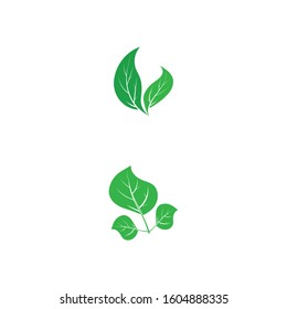 Vegan Logo Template vector symbol nature