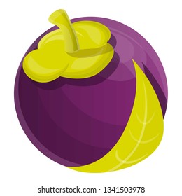 Vegan mangosteen icon. Cartoon of vegan mangosteen vector icon for web design isolated on white background