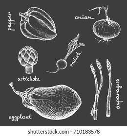 Vegan Menu - Eggplant Radish Artichoke Onion Pepper Asparagus - White hand-drawn objects