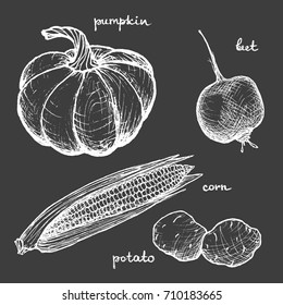 Vegan Menu - Pumpkin Beet Corn Potato - White hand-drawn objects