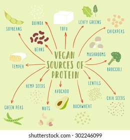 497 Plant Based Protein Icon Images, Stock Photos & Vectors | Shutterstock