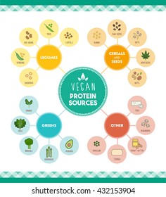 Vegan Protein Food Sources Infographic With Food Icons And Categories