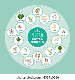 Vegan Protein Food Sources Infographic With Food Icons