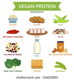 vegan protein info graphic, icon food vector illustration