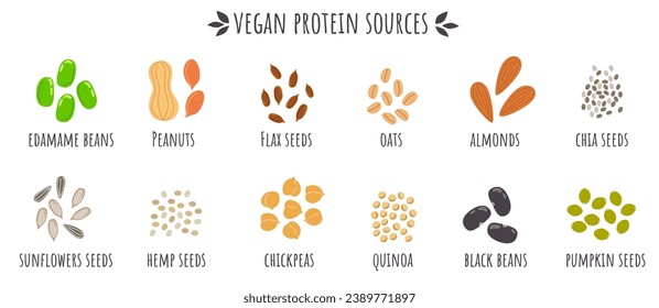 Veganeiweißquellen, Emanamamen-Bohnen, Erdnüsse, Flachsamen, Hafer, Mandeln, Chiasamen, Sonnenblumenkerne, Hanf, Kichererbsen, Kürbiskerne. Cartoon vegan gesundes Essen. Nahrungsergänzungsmittel für Vegetarier.