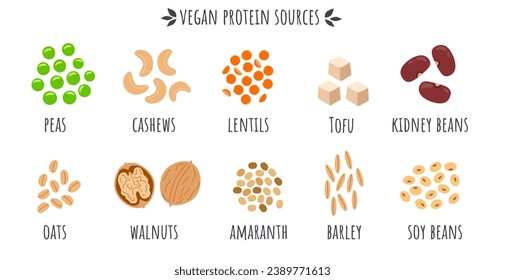 Vegan protein sources, peas, cashew, lentil, tofu, kidney beans, oats, walnut, barley, soy beans. Cartoon vegan healthy food. supplements for vegetarians. Flat vector illustration.