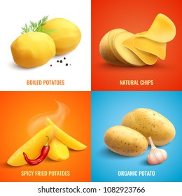 Vegan realistic 2x2 design concept set of organic and boiled potato spicy fried potatoes and natural chips vector illustration 