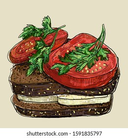 Vegan sandwich with tomato and tofu cheese on a rye bread, hand drawn graphic sketch illustration