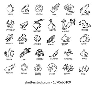 Vegan set of icons with vegetables. A vegan and a vegetarian. Vegetables, mushrooms, grass and roots. Proper nutrition. Vegetable food. Vector isolated image.