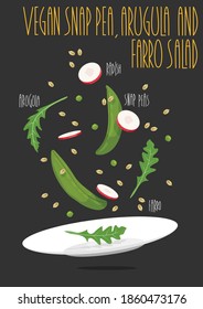 Vegan Snap Pea, Arugula And Farro Salad. Vector Illustration