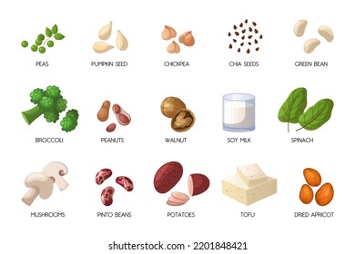 Vegan sources of protein cartoon illustration set. Peas, pumpkin seeds, chickpea, chia seeds, green bean, broccoli, peanuts, walnut, soy milk, spinach, tofu, pinto beans. Veganism concept