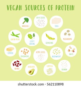 Vegan sources of protein. Vector info poster. 