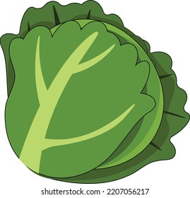 Vegan vegetables isolated vector illustration