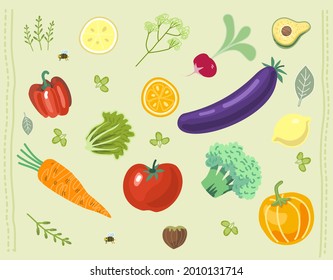 Vegan and vegetarian background. Vegetables and fruits. Vector illustration. Avocado, carrot, bell pepper, brocooli, tomato, radish, pumpkin, nut, bee. Lemon and orange. For shop, signboard, poster.