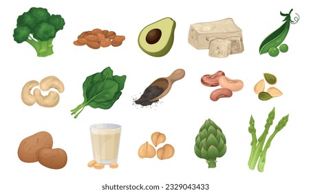 Vegan and vegetarian protein contained food set with isolated icons of ripe vegetables beans and plants vector illustration