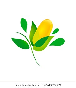 Vege capsule - flower and leaves