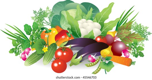 vegetable