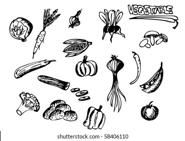 vegetable