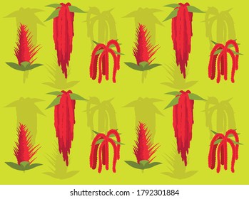 Vegetable Amaranth Cartoon Vector Illustration Seamless Background-01