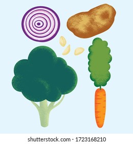 Vegetable art in vector. Broccoli, carrot, onion, potato, and garlic cloves set.