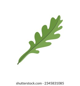 Vector plano de icono de arugula vegetal. Ensalada de Rucola. Hojas vegetales aisladas