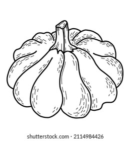 Vegetable autumn. Big beautiful pumpkin. Vector illustration. Linear hand drawn, outline for design and decor, for recipe and menu design