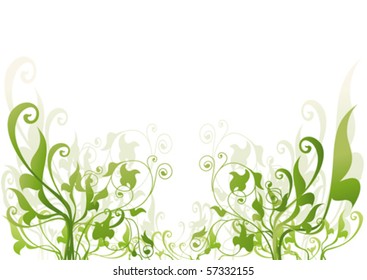 vegetable background