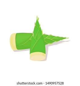 Vegetable Bamboo Shoots Plant vector