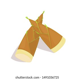 Vegetable Bamboo Shoots Plant vector