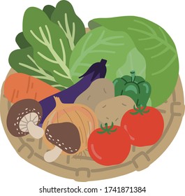 vegetable basket illustration vector organic 
