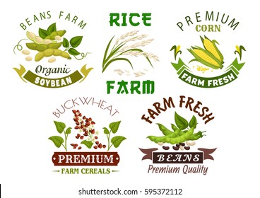 Vegetable, Bean And Cereal Farm Emblem Set. Fresh Corn Cob, Rice And Buckwheat Plant With Grain, Leaves, Green Pods Of Soybean And White Beans With Ribbon Banner. Organic Farming, Agriculture Design