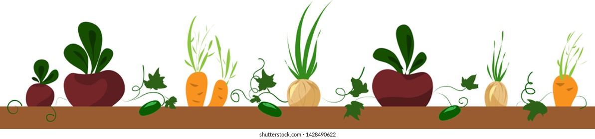 vegetable bed, frame, beet, carrot, onion