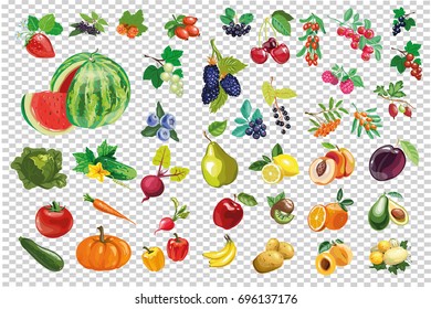 Vegetable berry fruit big collection vector kit isolated