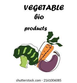 Vegetable bio products. Vector illustration.Garden,carrot,broccoli,eggplant.