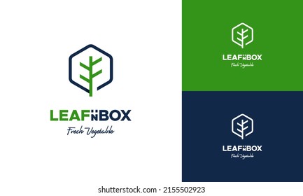 Diseños de logotipo de caja vegetal vectores de concepto vectores, diseños de logotipo de caja natural icono