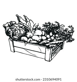 vegetable box - wooden box with vegetables, black and white vector illustration