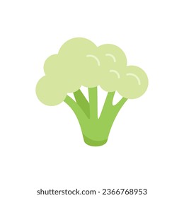 Vegetable broccoli icon flat vector. Cabbage food. Salad sweet isolated