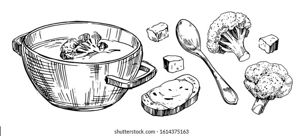 Vegetable broccoli soup  Hand drawn illustration converted to vector