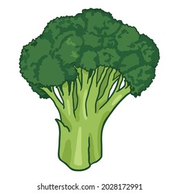 vegetable brocoli cartoon style vector