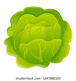 Vegetable cabbage icon. Cartoon of vegetable cabbage vector icon for web design isolated on white background