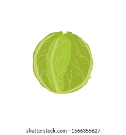 Vegetable cabbage. Vector illustration, in cartoon style, for printing on logos, labels, packages with fresh salads, menus, posters about healthy eating and other printed products.