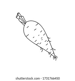 Vegetable carrot. Black and white vegetables. Vector drawn contour and silhouette simple illustration. Eco-product.