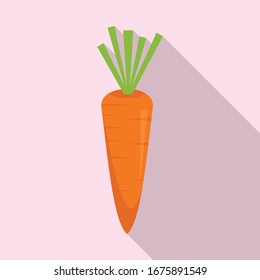 Vegetable carrot icon. Flat illustration of vegetable carrot vector icon for web design