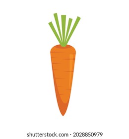 Vegetable carrot icon. Flat illustration of vegetable carrot vector icon isolated on white background