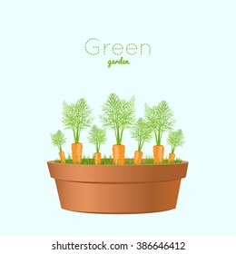 Vegetable carrots garden. Carrots in a pot. Vector illustration for garden party