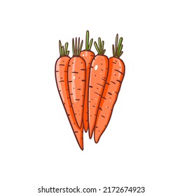 Vegetable carrots set cartoon style flat vector illustration
