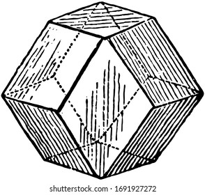 Vegetable Cell would be if when spherical it were equally pressed by similar surrounding cells in a heap, vintage line drawing or engraving illustration.