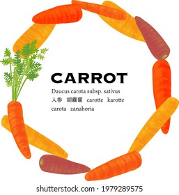 Vegetable circle, Carrots vector illustration. Text means 'carrot' in sevral language.