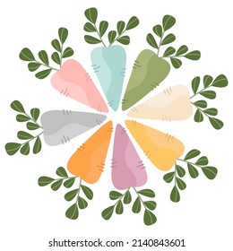 Vegetable circle, Carrots vector illustration.